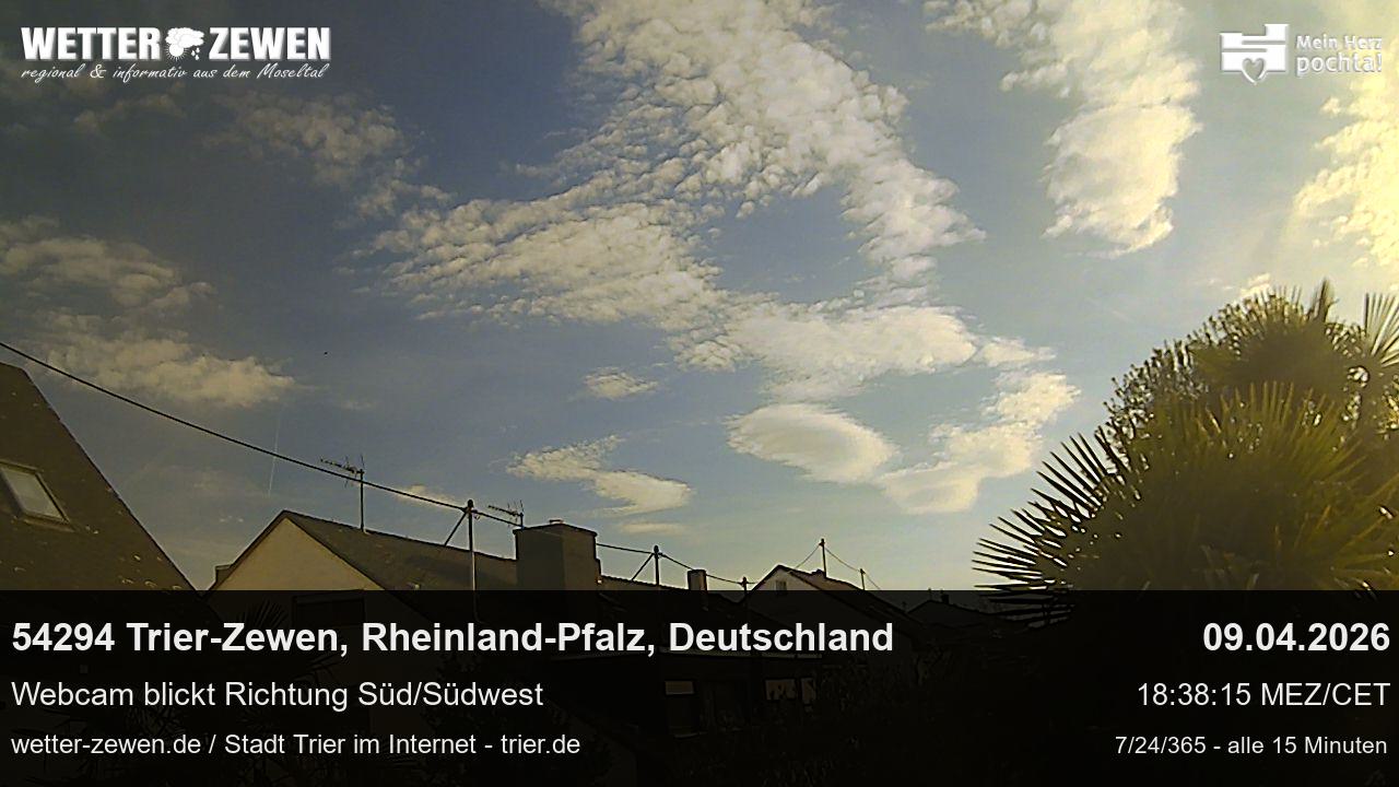 Bild