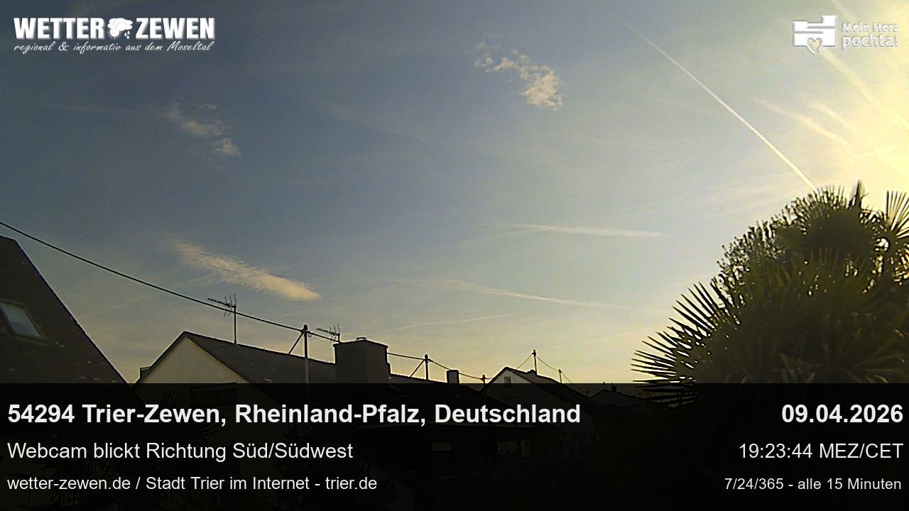 Bild