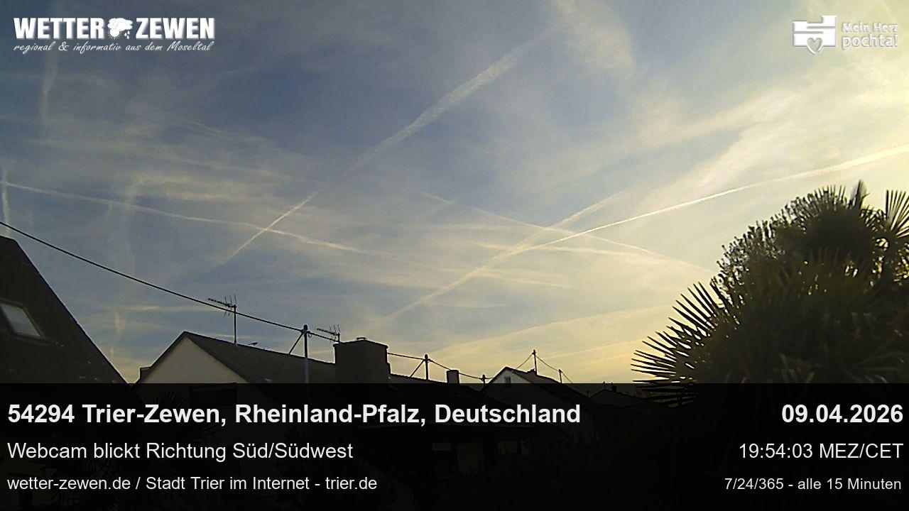 Bild