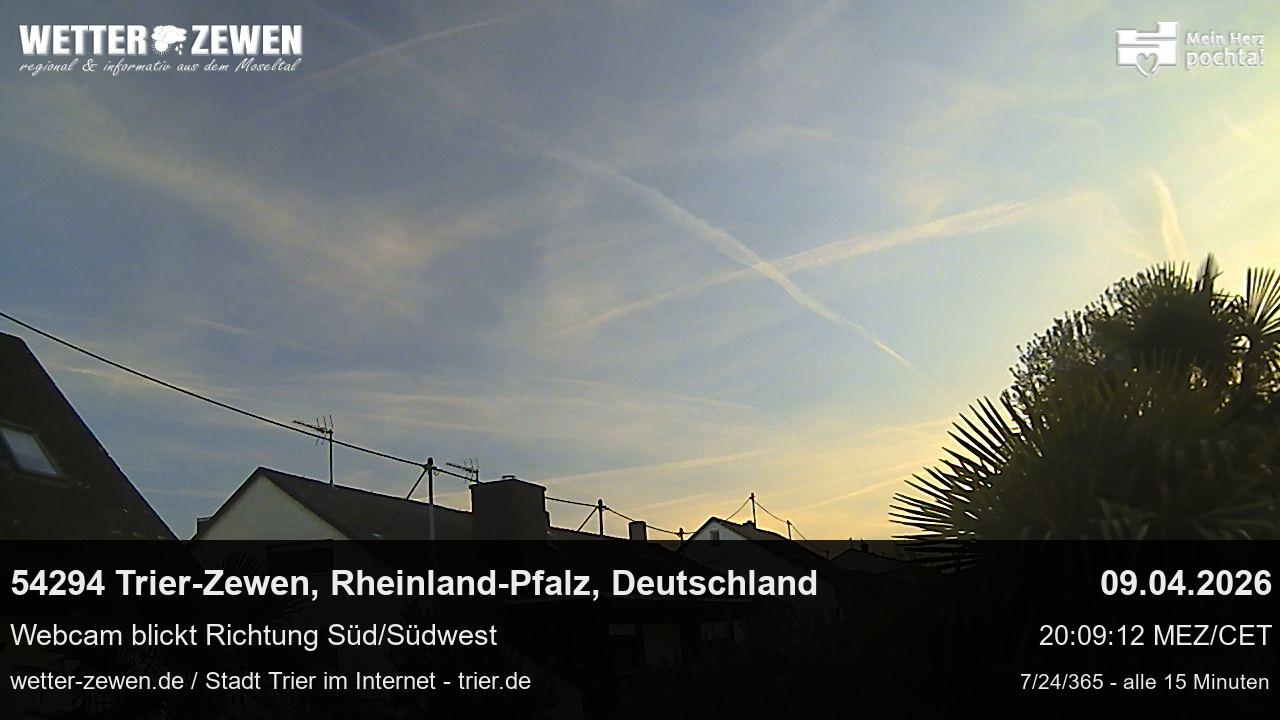 Bild