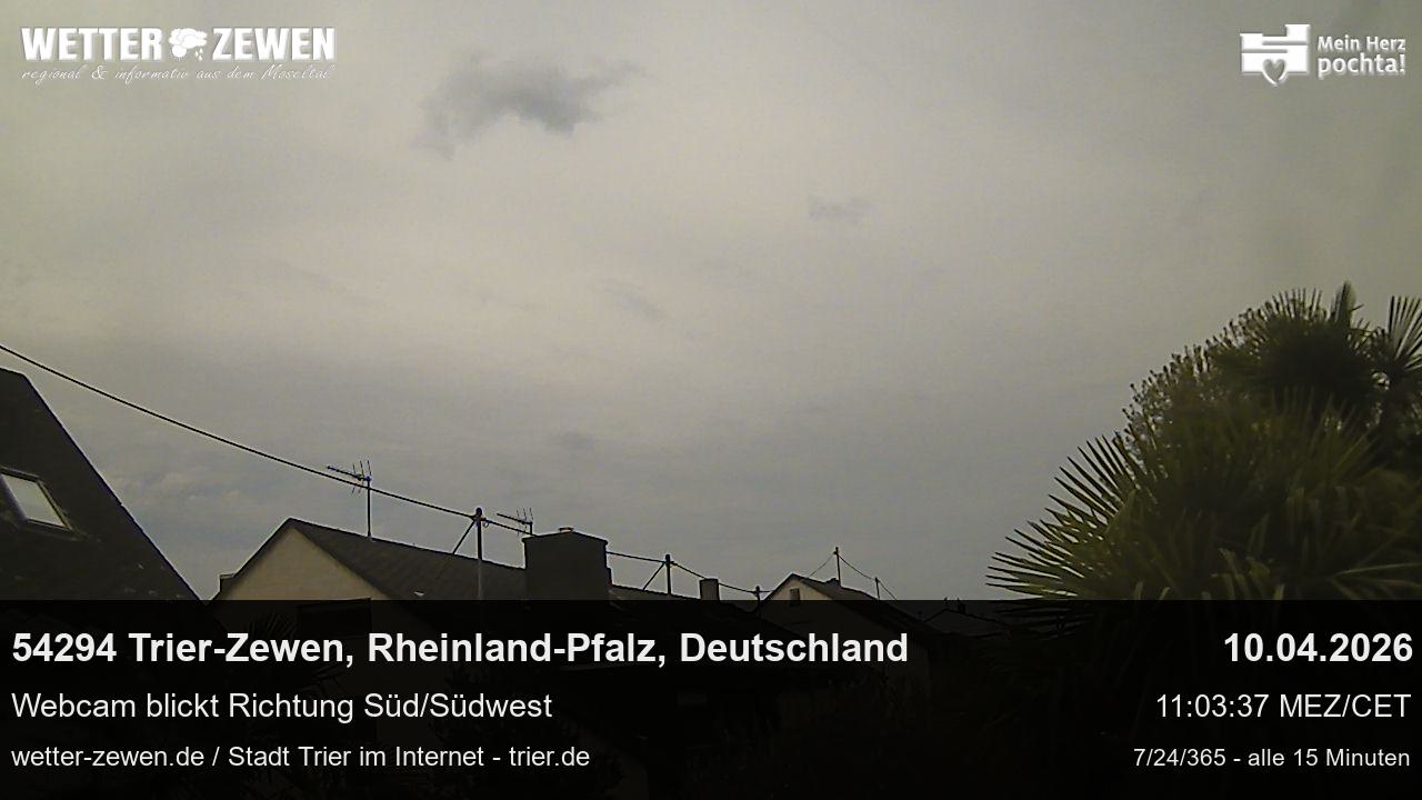 Bild