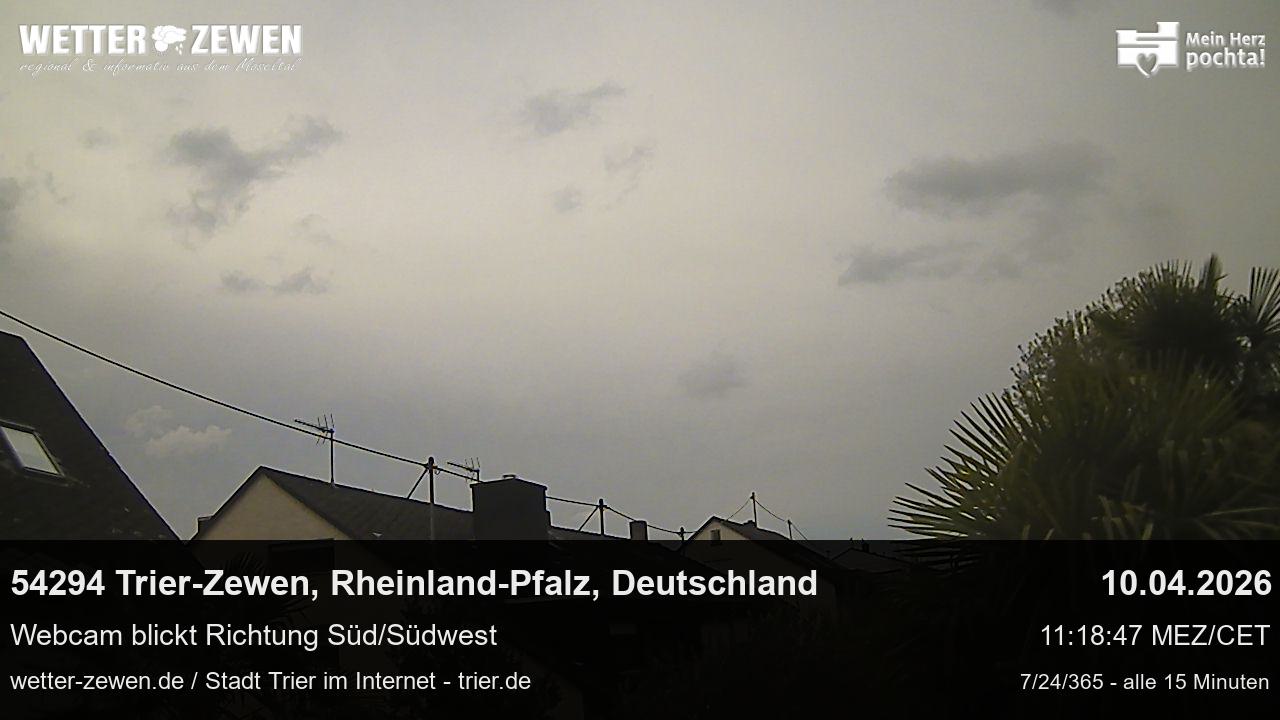 Bild