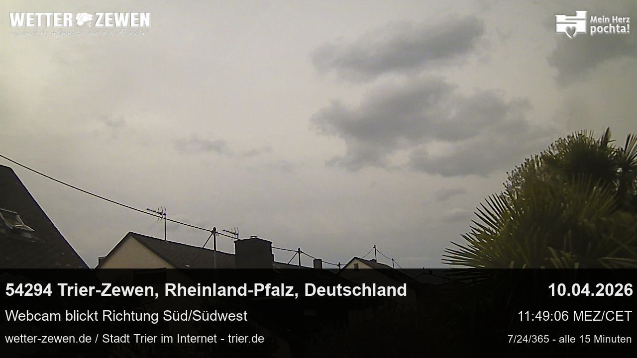 Bild