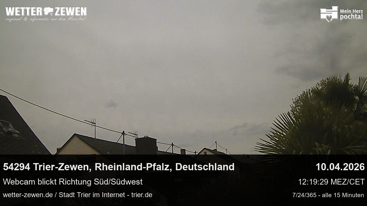 Bild