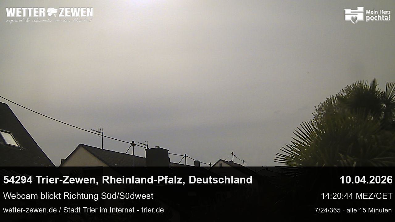 Bild