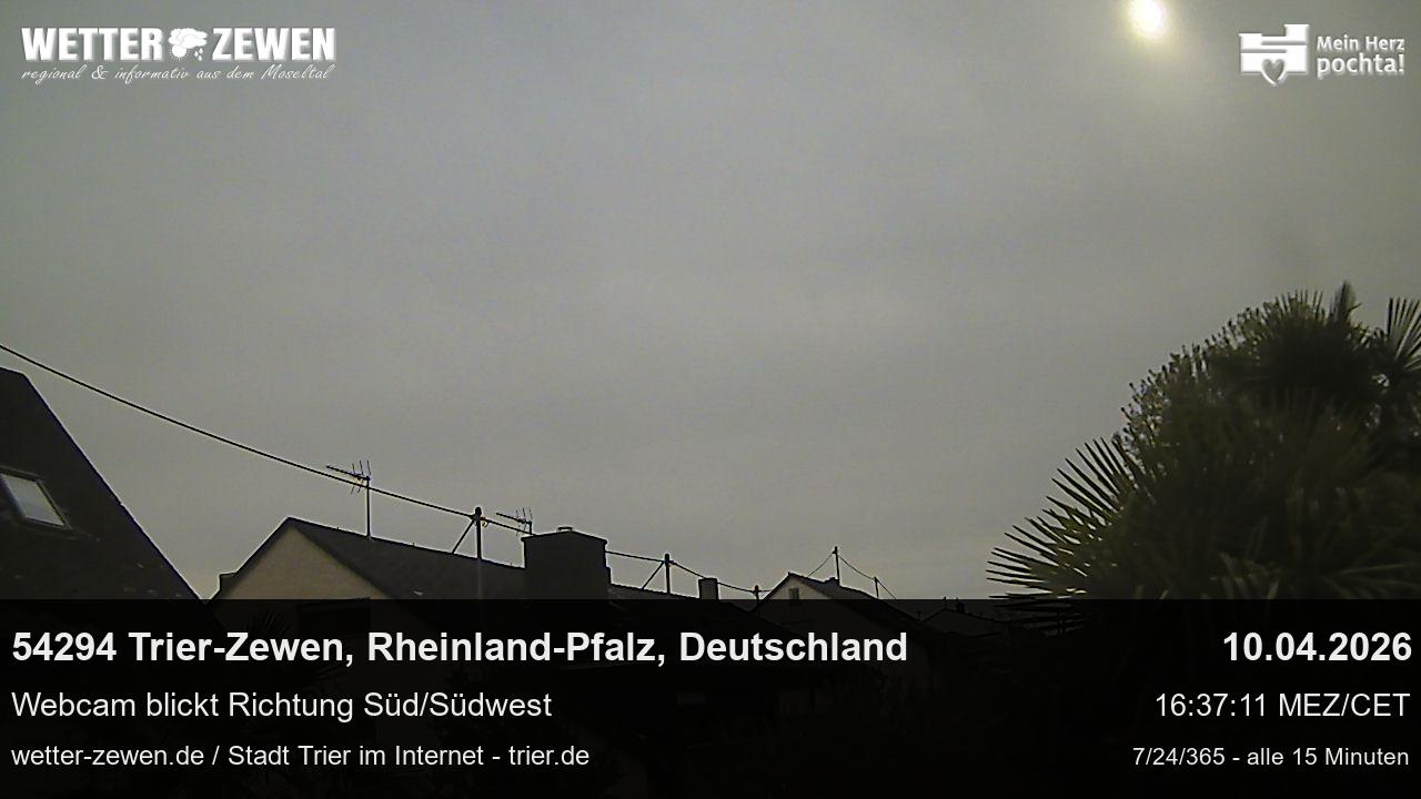 Bild