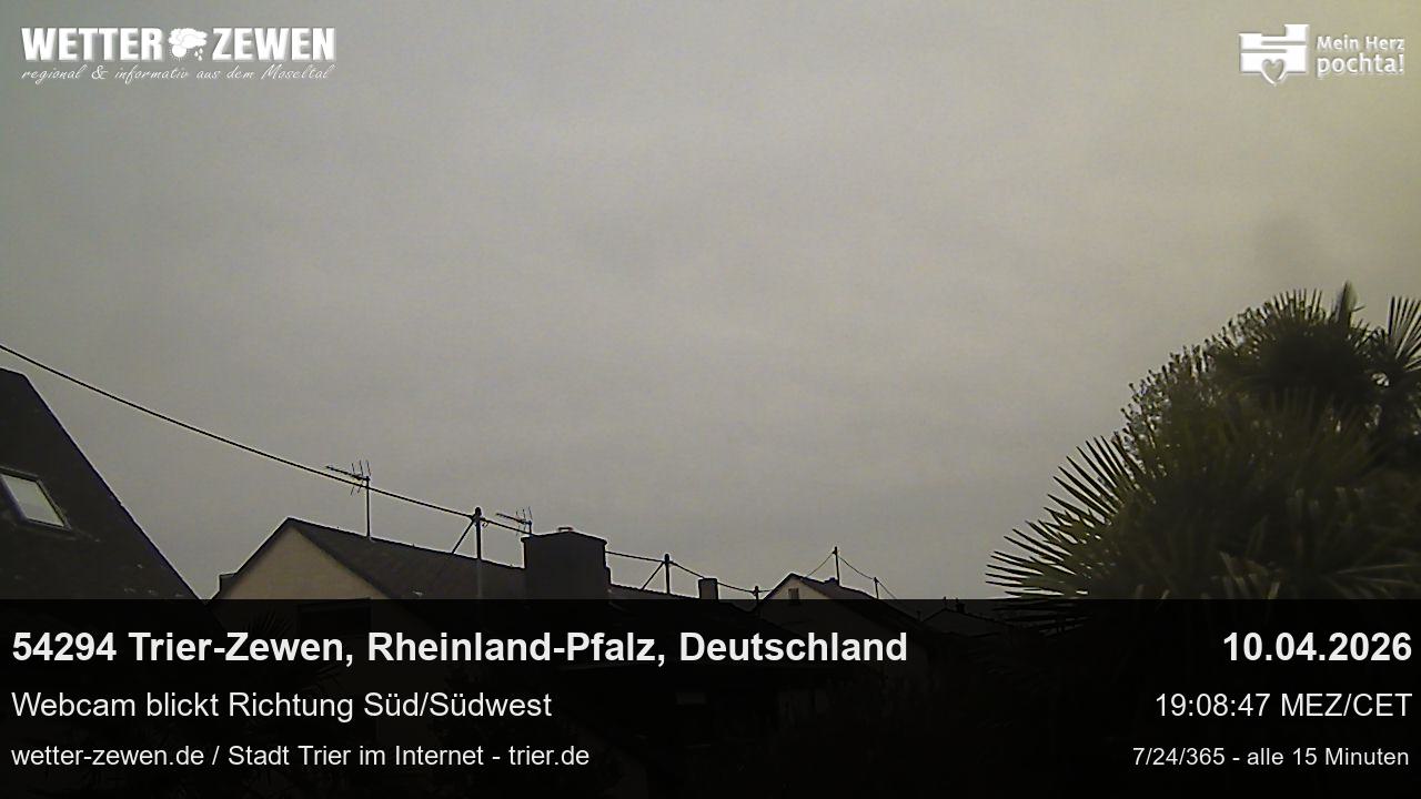 Bild