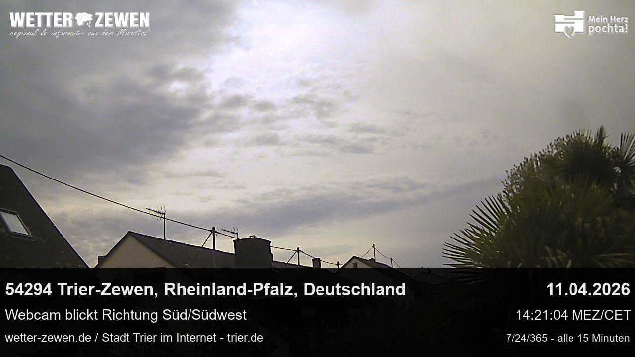 Bild