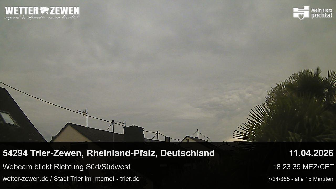Bild