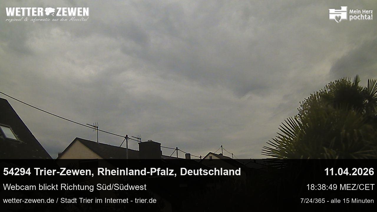 Bild