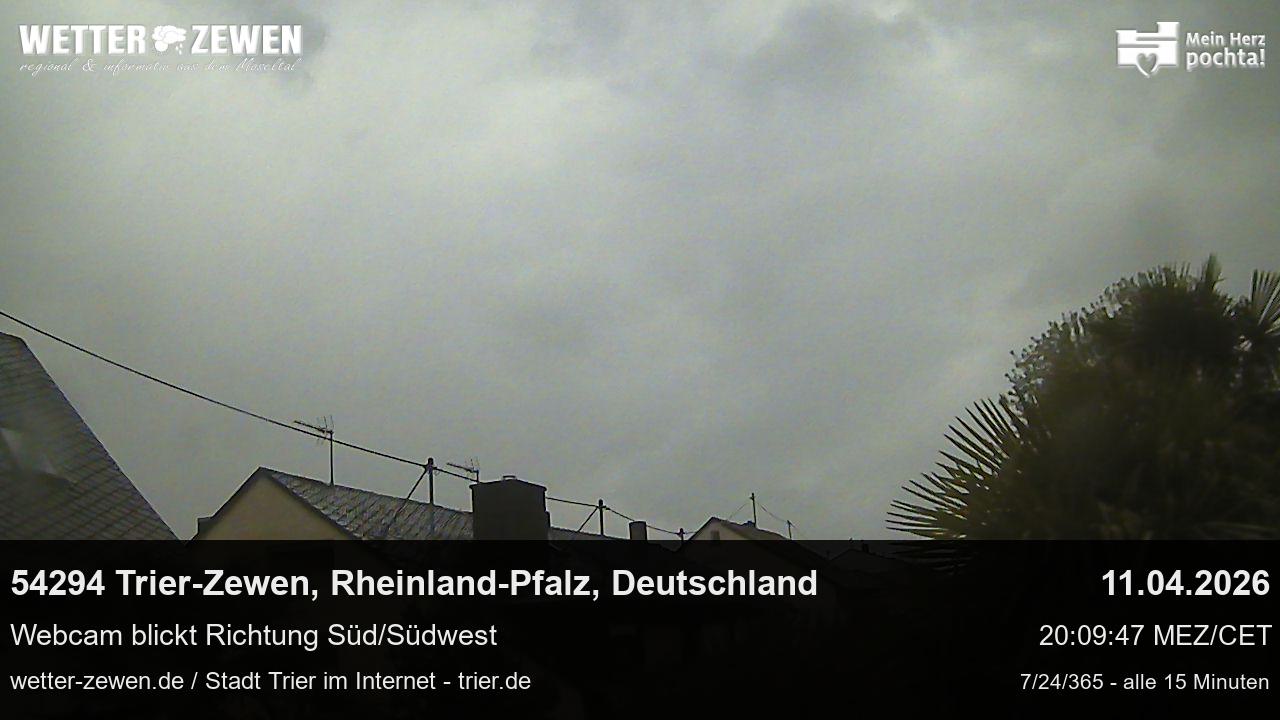 Bild