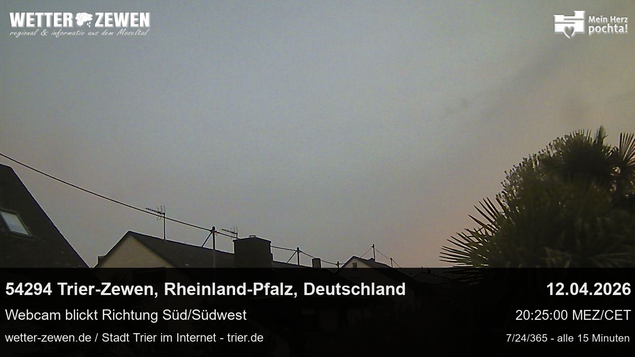 Bild