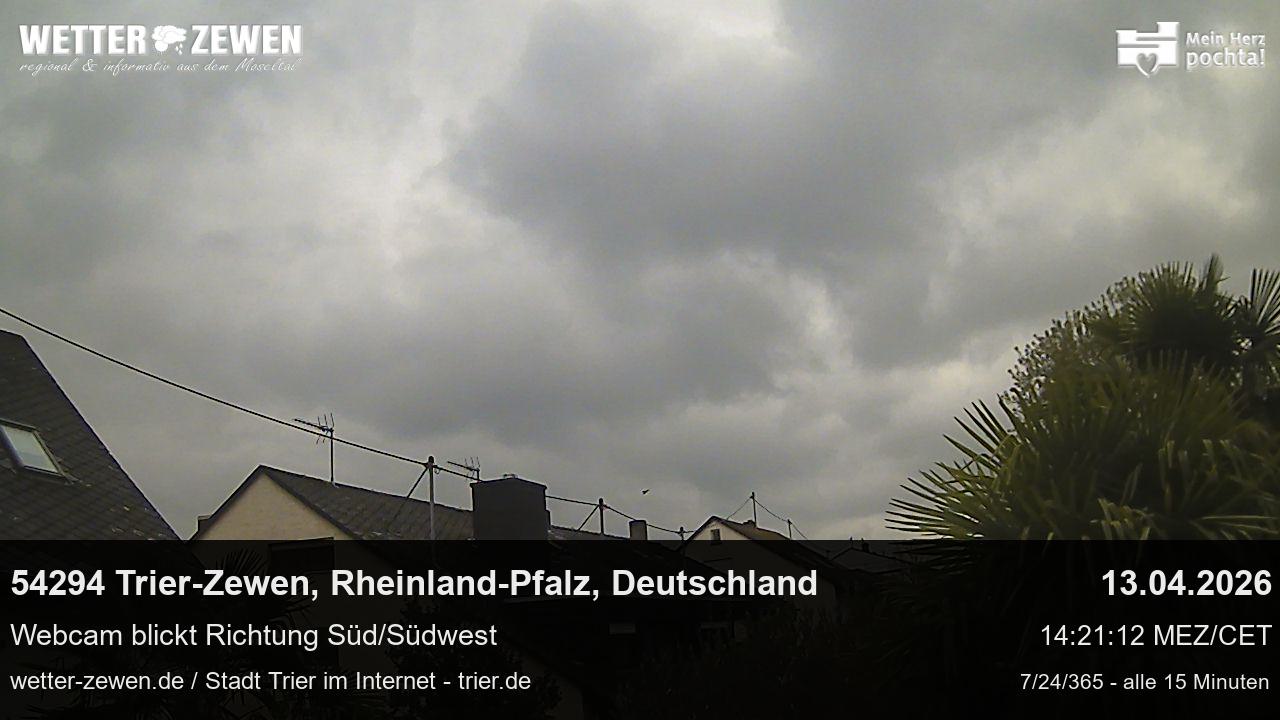Bild