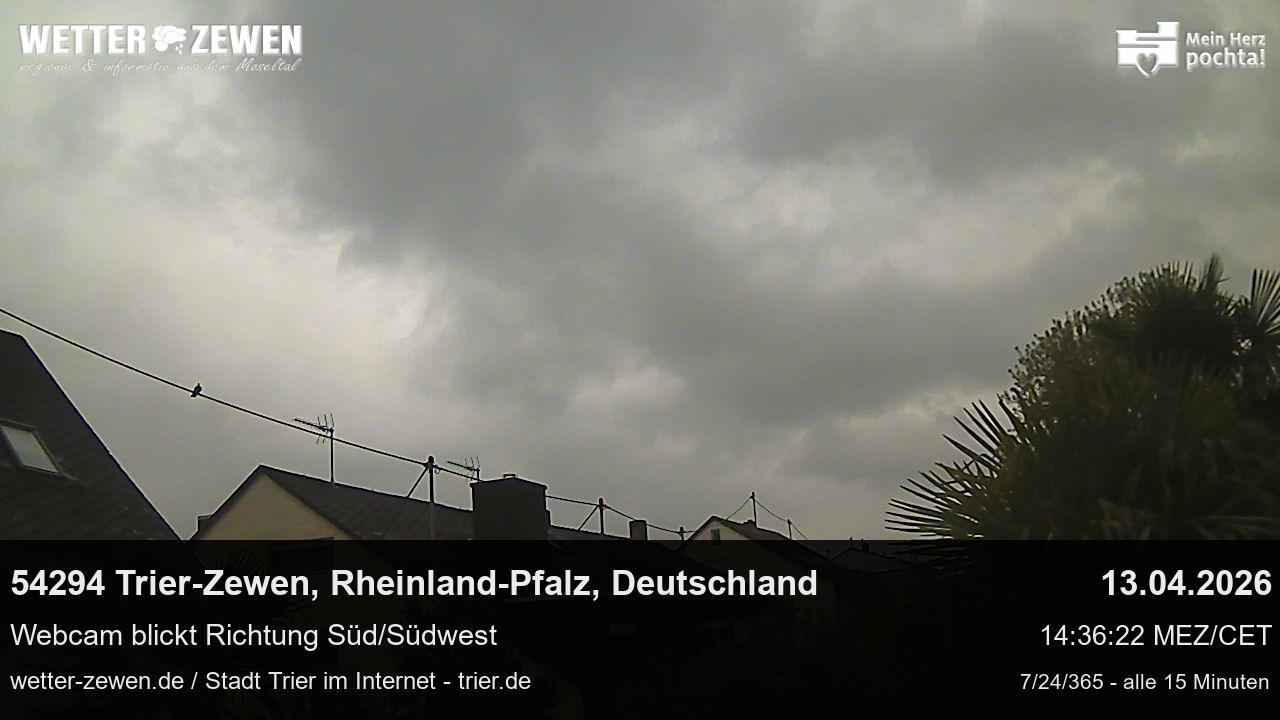 Bild