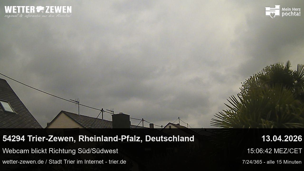 Bild
