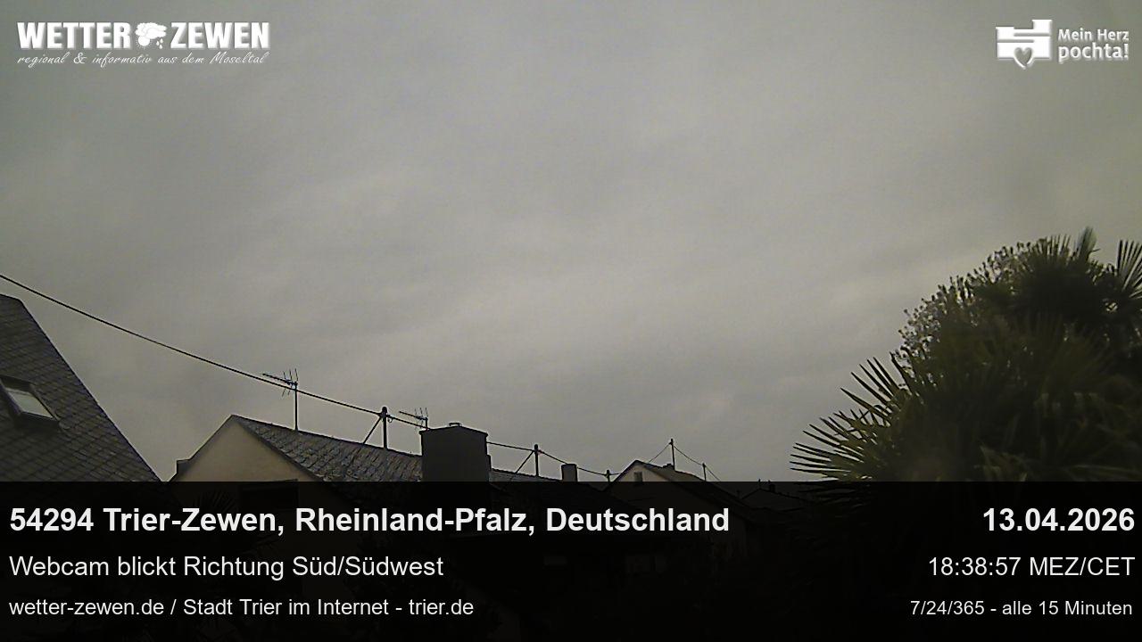 Bild