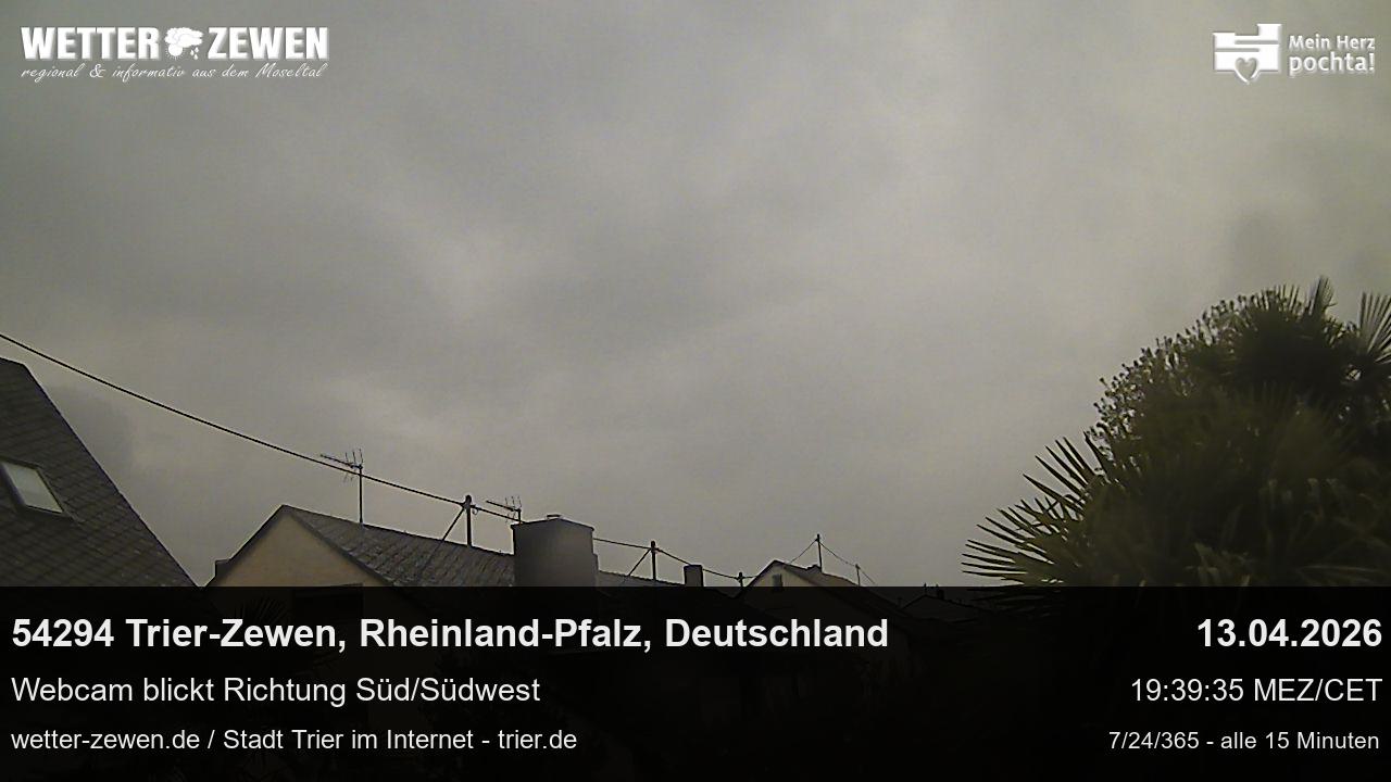 Bild
