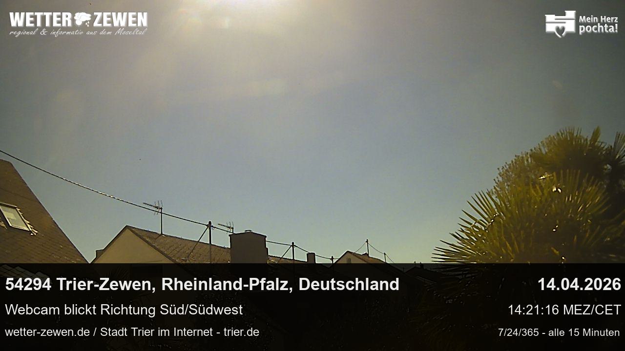 Bild