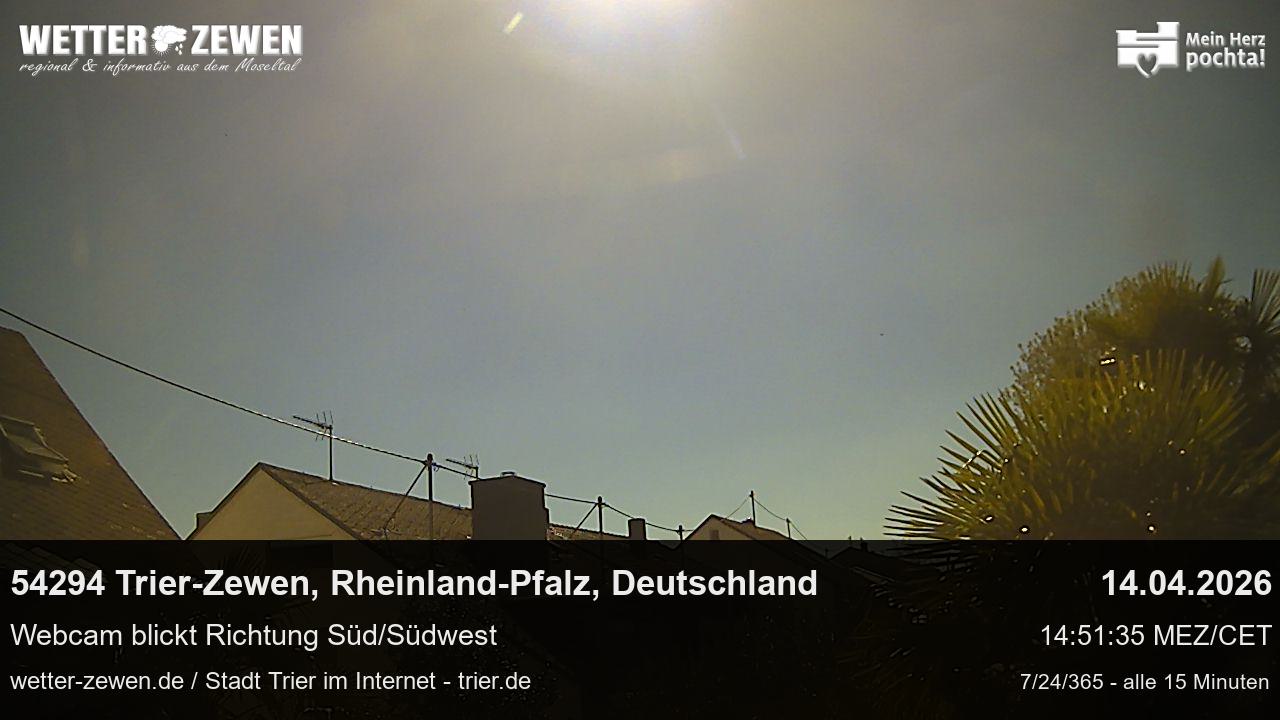 Bild
