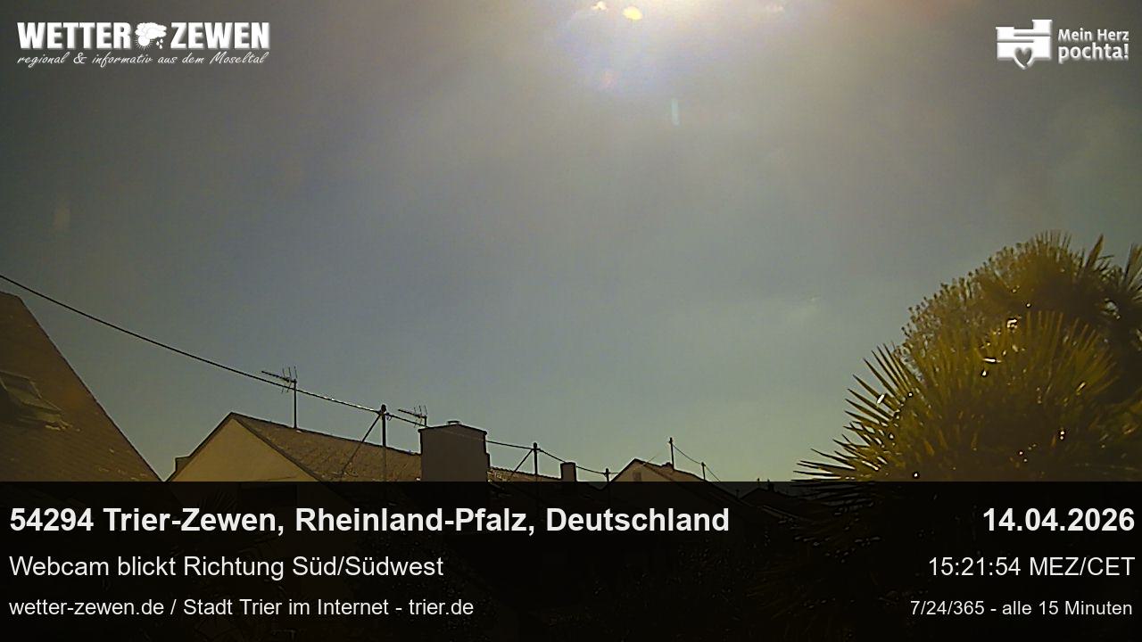Bild
