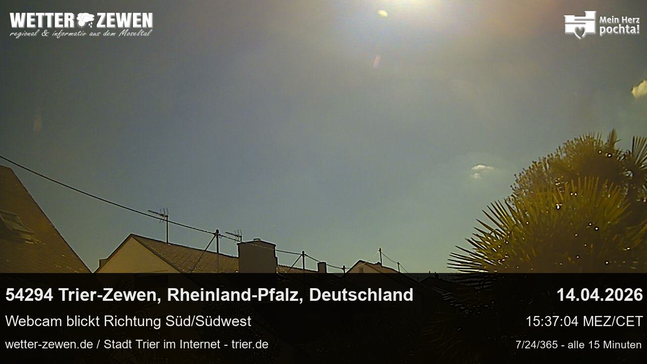 Bild