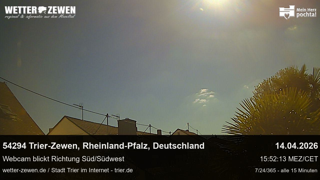 Bild