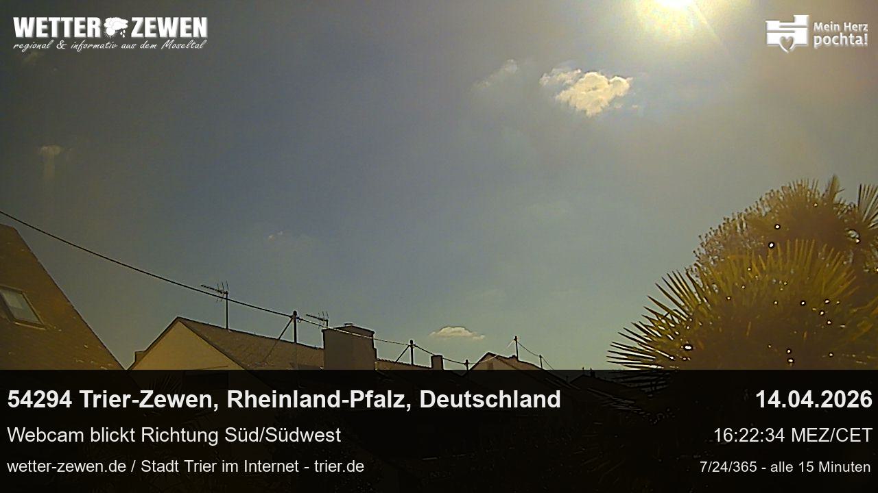 Bild
