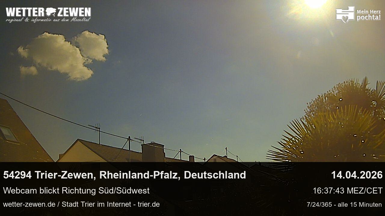 Bild