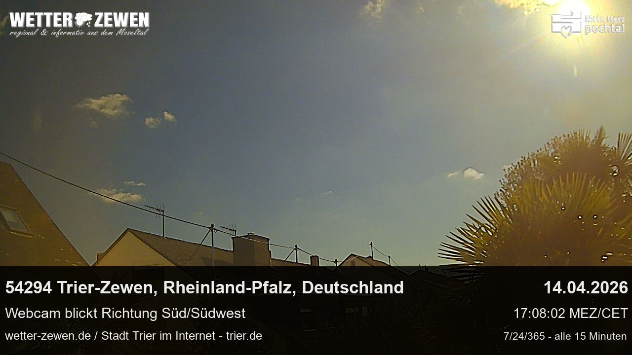 Bild