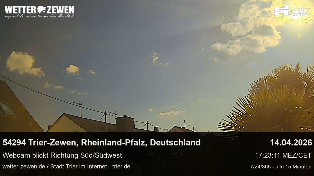 Bild
