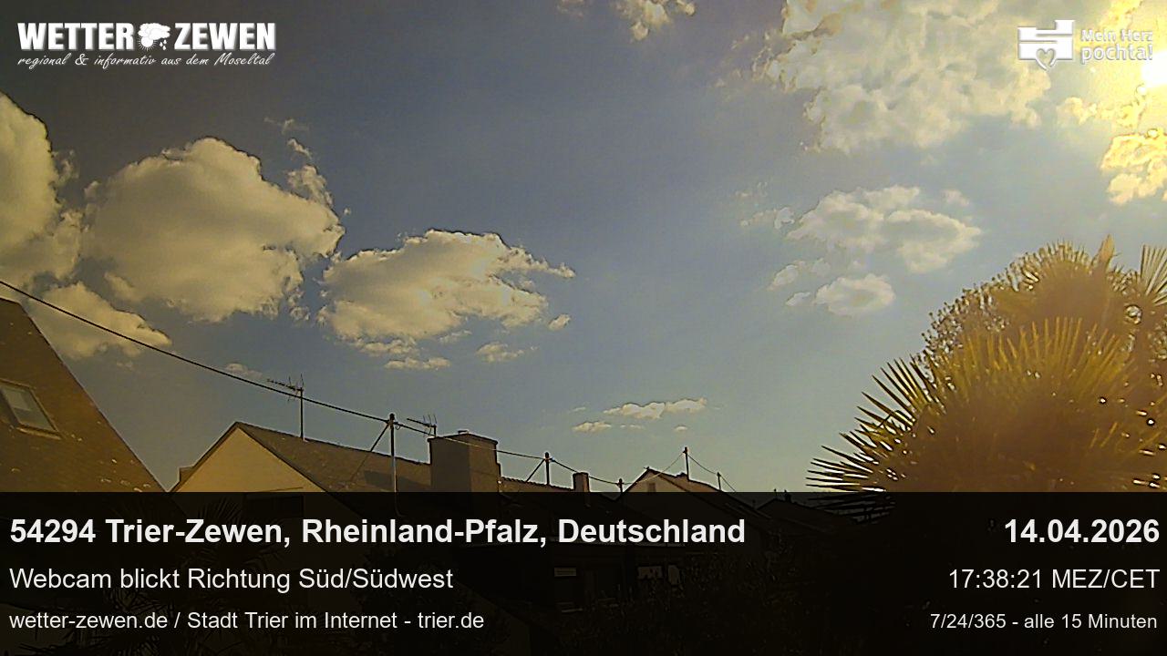 Bild