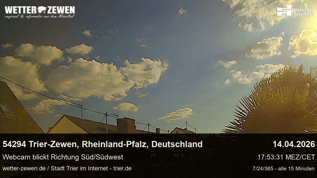 Bild
