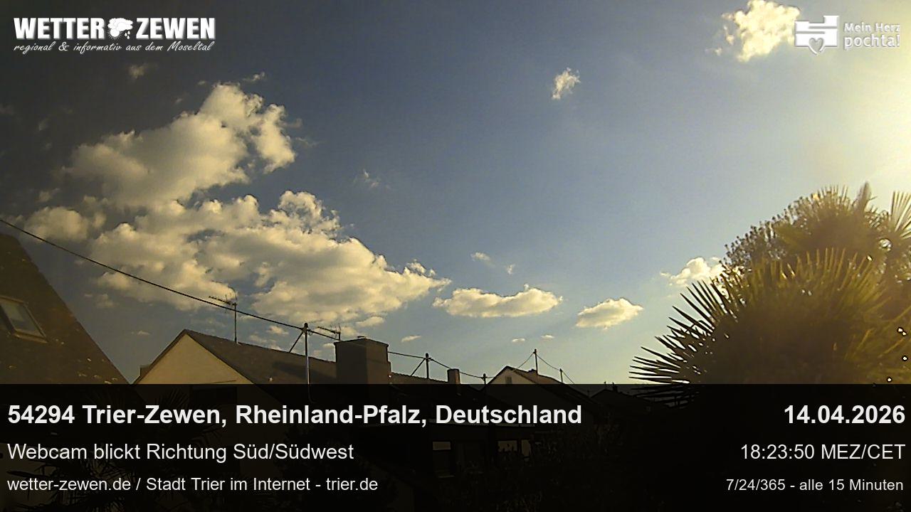 Bild