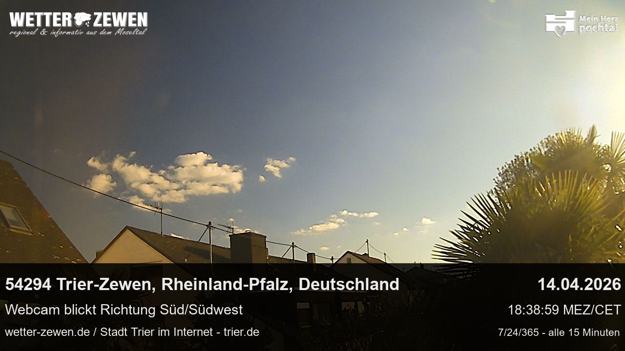 Bild