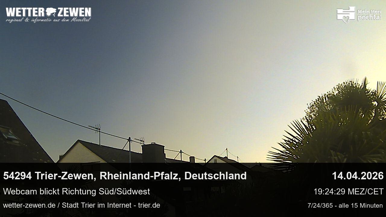 Bild