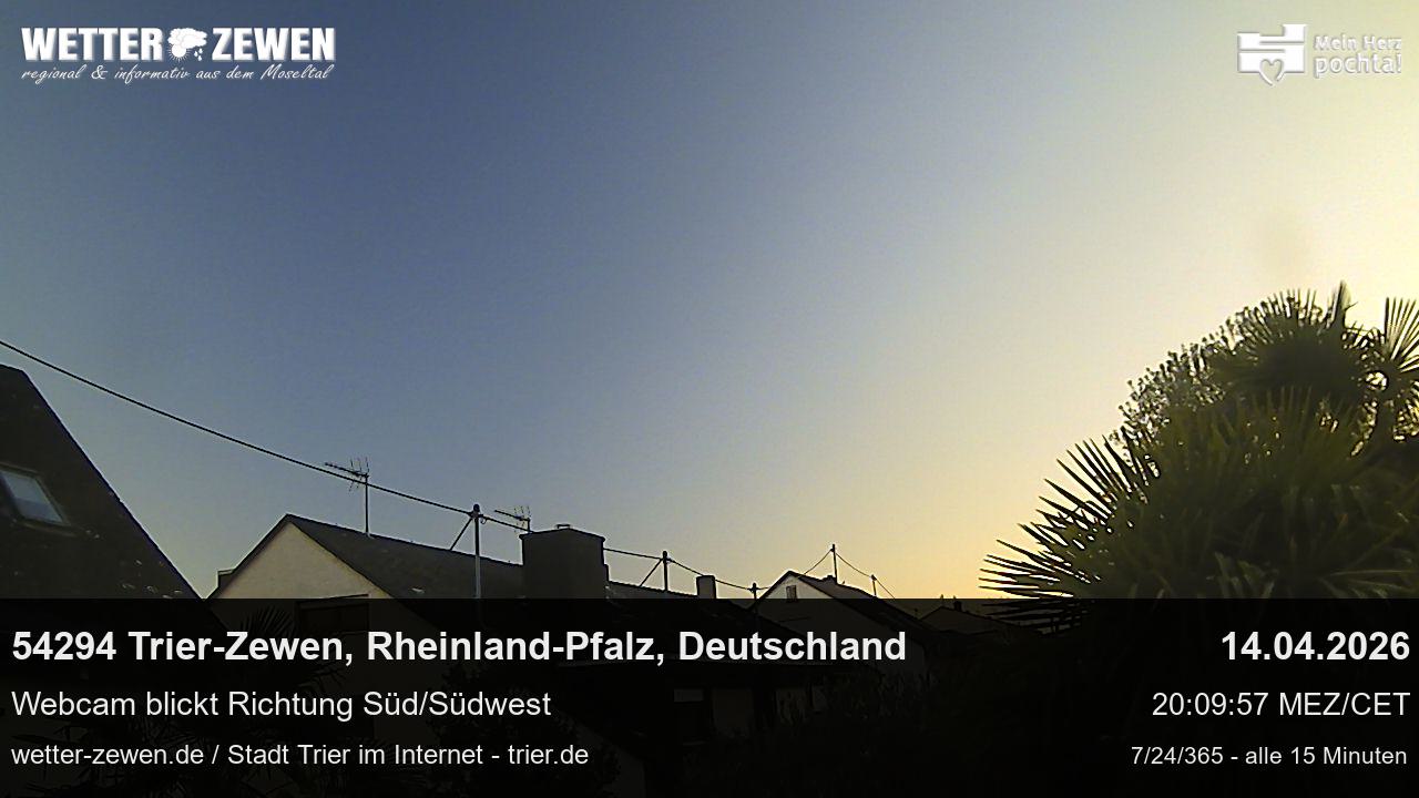 Bild