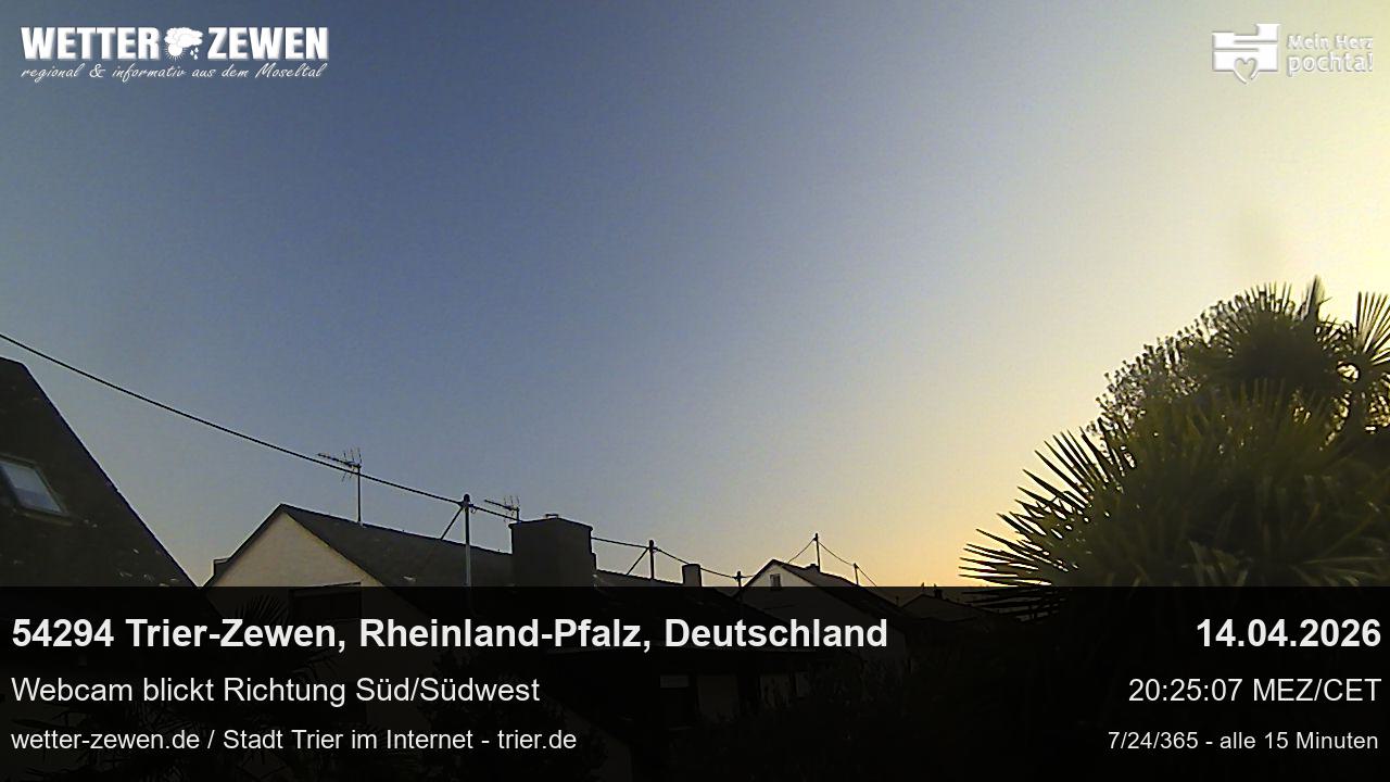 Bild