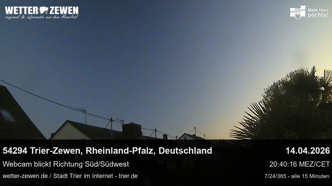 Bild
