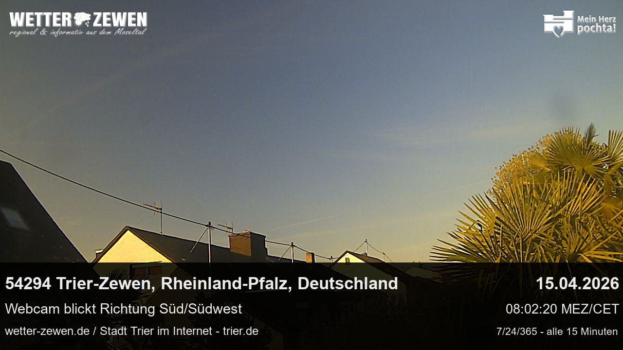 Bild