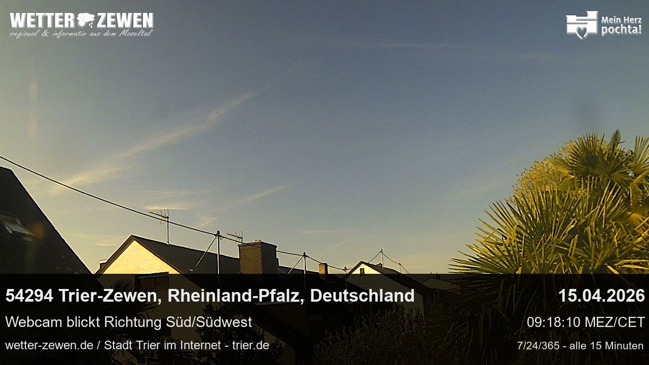 Bild