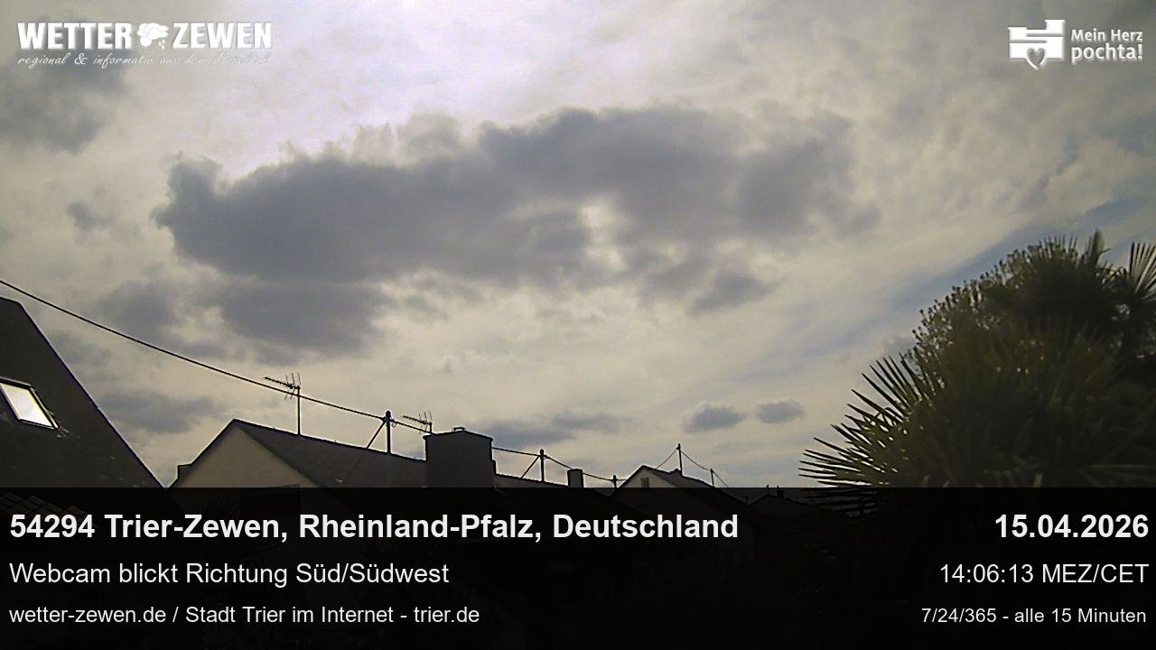 Bild