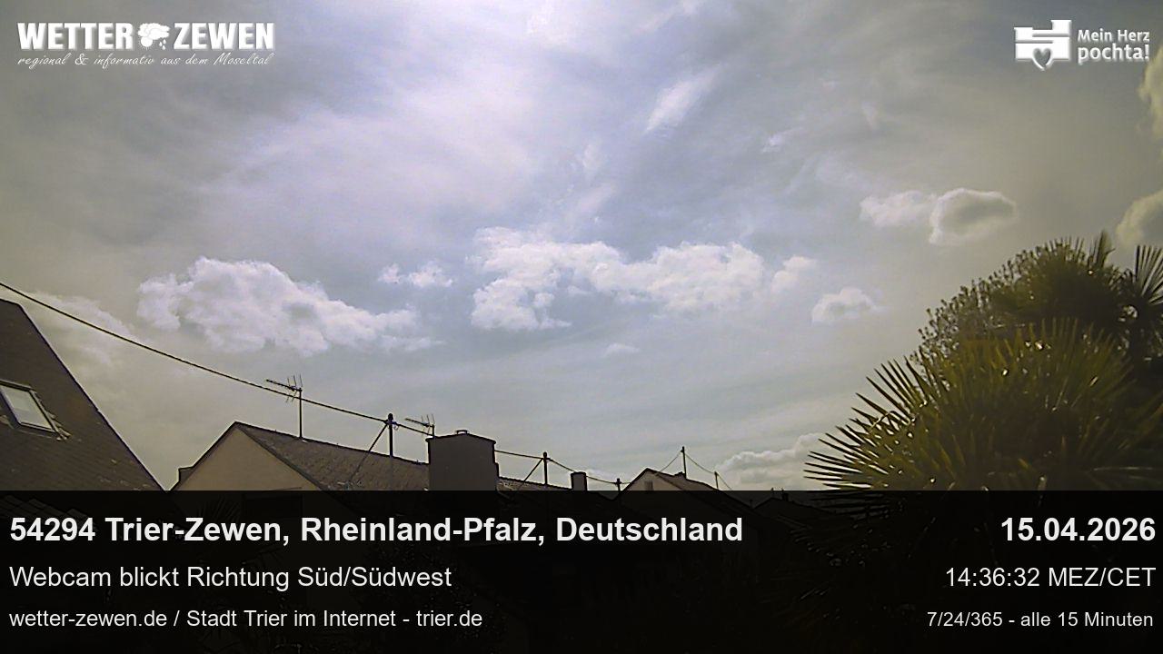 Bild