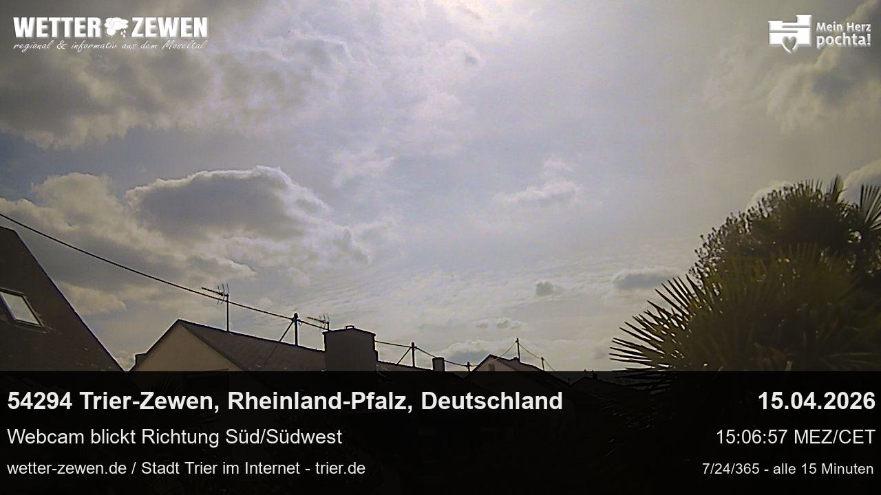 Bild