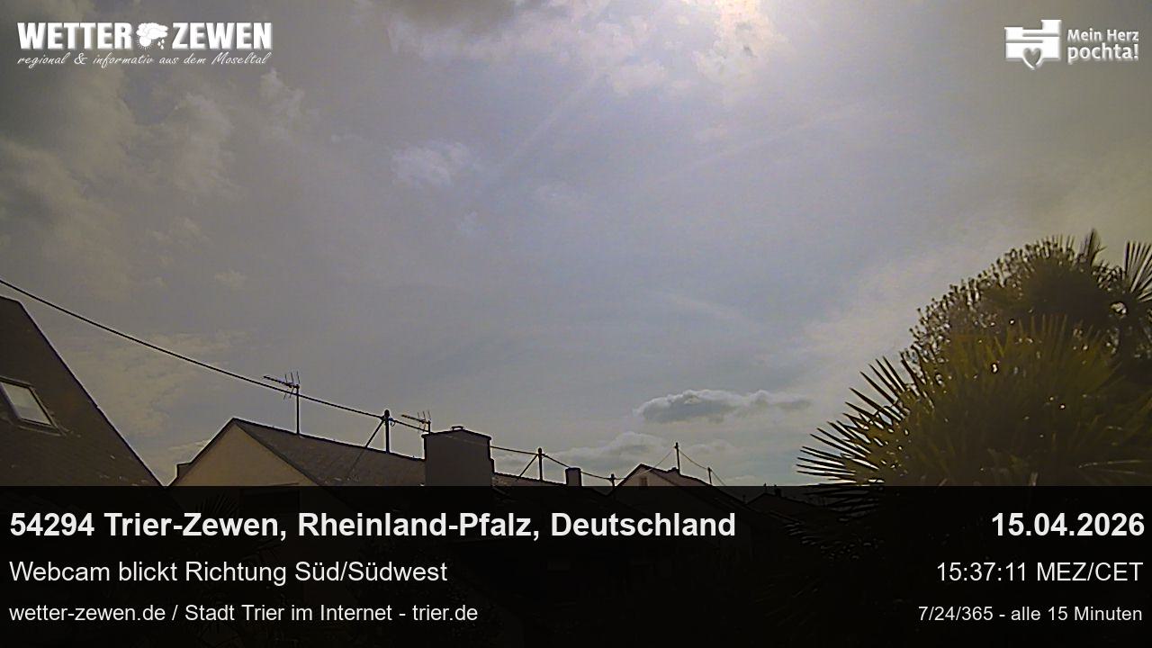 Bild