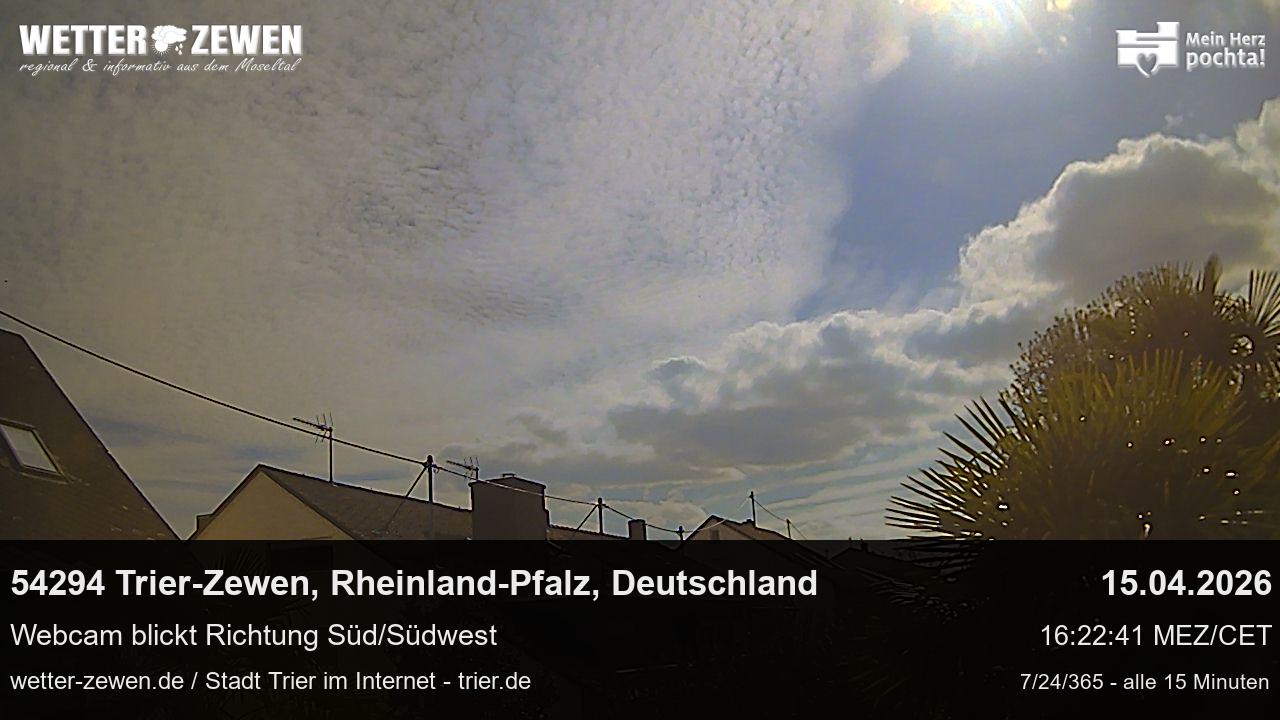 Bild