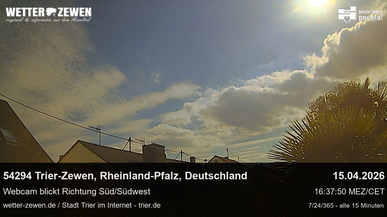 Bild