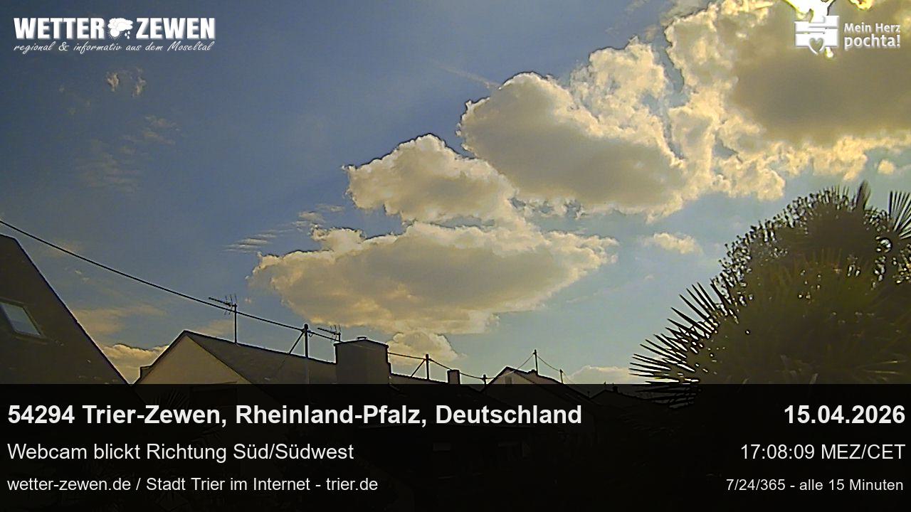 Bild
