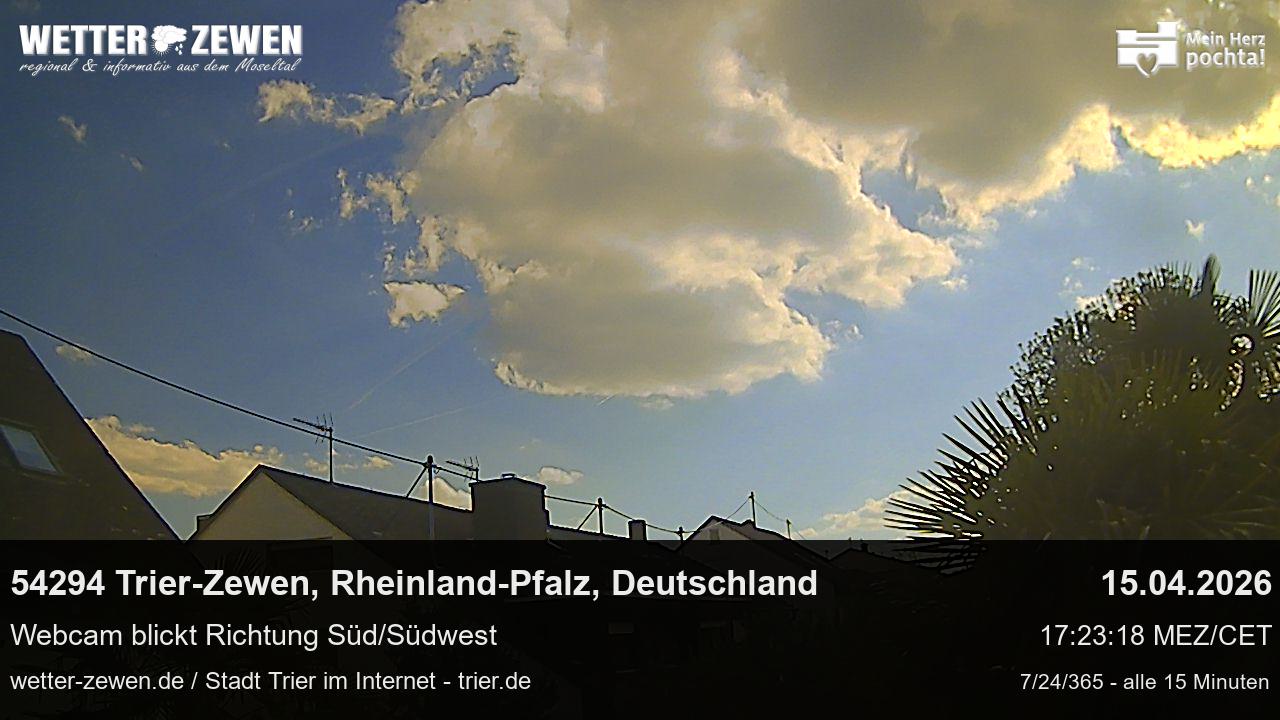 Bild