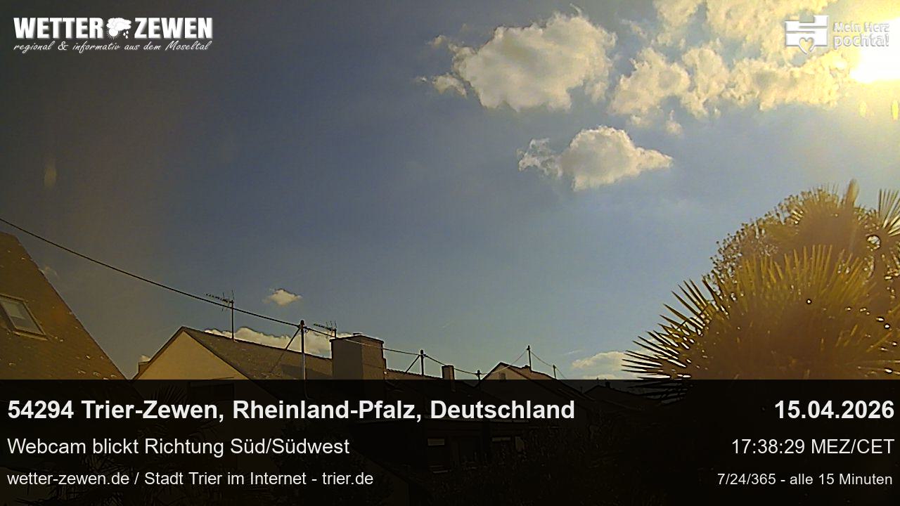 Bild