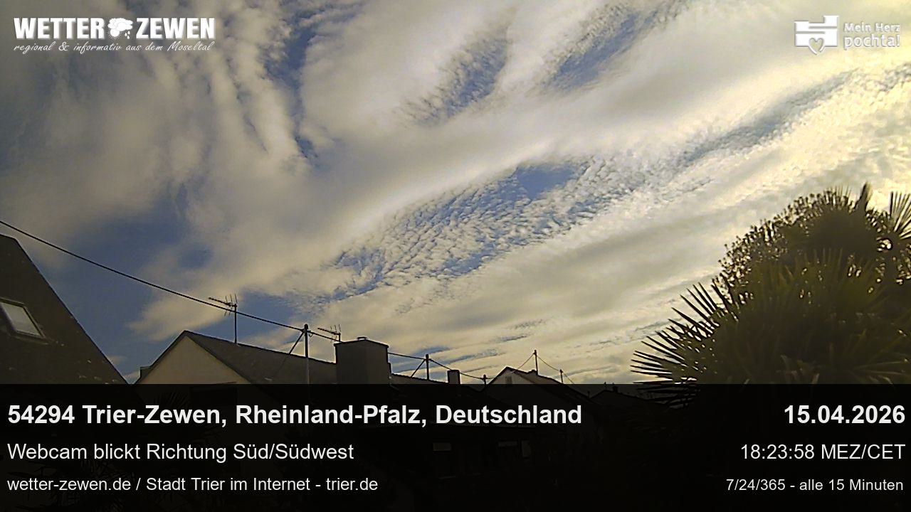 Bild